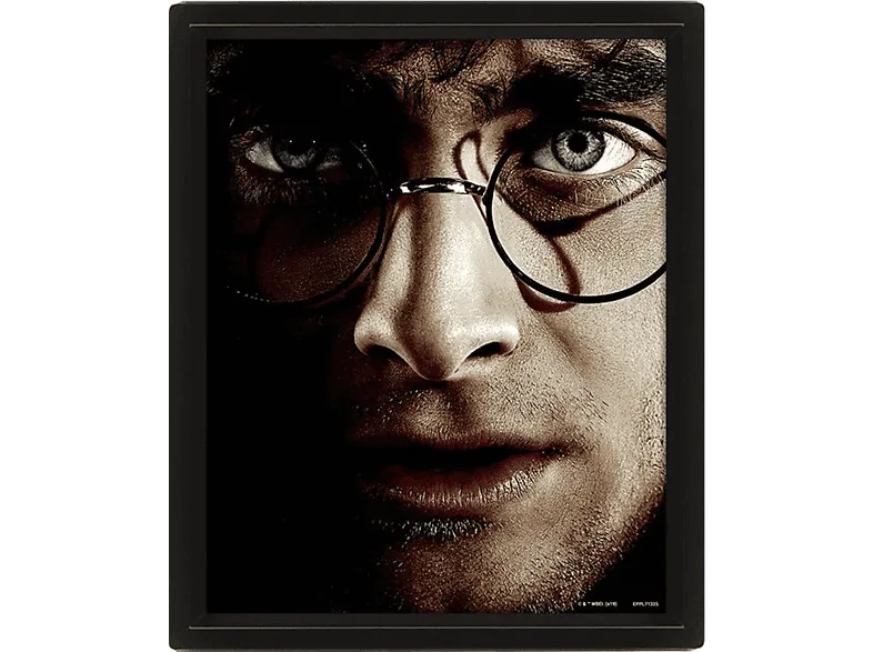 Póster 3D - Sherwood Harry Potter, Papel brillo