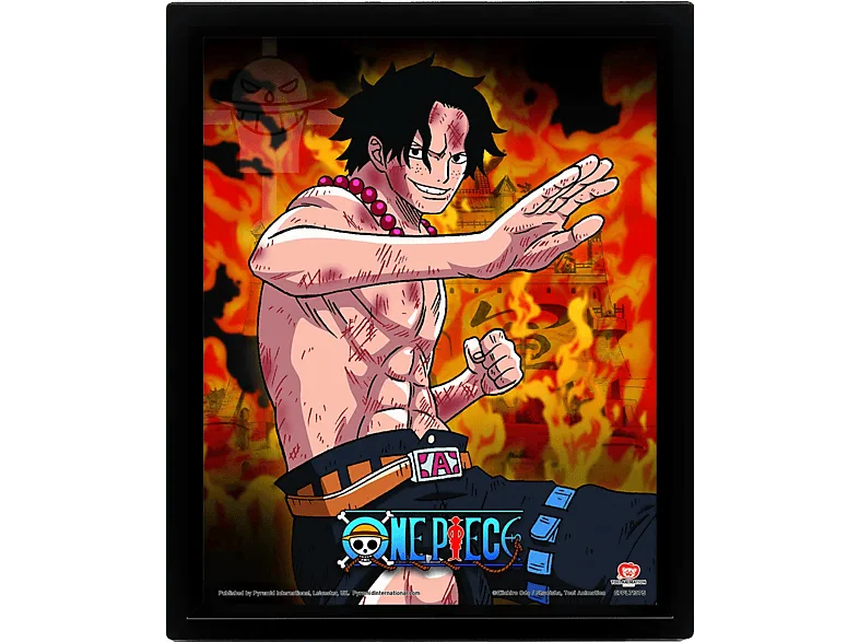 Póster 3D - Sherwood One Piece Brothers Burning Rage