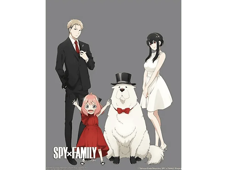 Póster 3D - Sherwood Spy X Family, Enmarcado, Licencia oficial